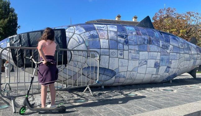 Man, 44, charged with smashing Belfast’s Big Fish sculpture