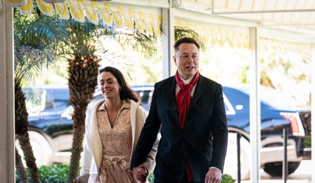Elon Musk’s baby mama shares rambling post announcing breakup from mogul